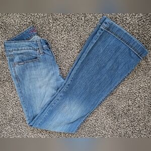Cinch Light Blue Denim Pants